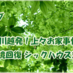 ブログも引っ越し