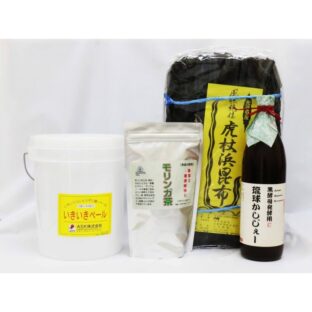 ASK 抗酸化ペンダント　パーフェクト 抗酸化ペンダント「パーフェクト」 新抗酸化溶液 ASK株式会社
