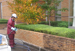 タイル洗浄 既存洗い