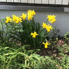 あれ？…と思った出来事