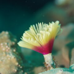 GW休業に関するお知らせ