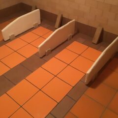 「モリンガ茶」って聞いた事ありますか？