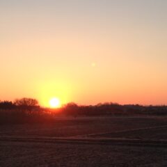 お年玉セール（ご来店）
