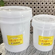 初めての手作り味噌